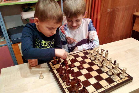 Шахматы
